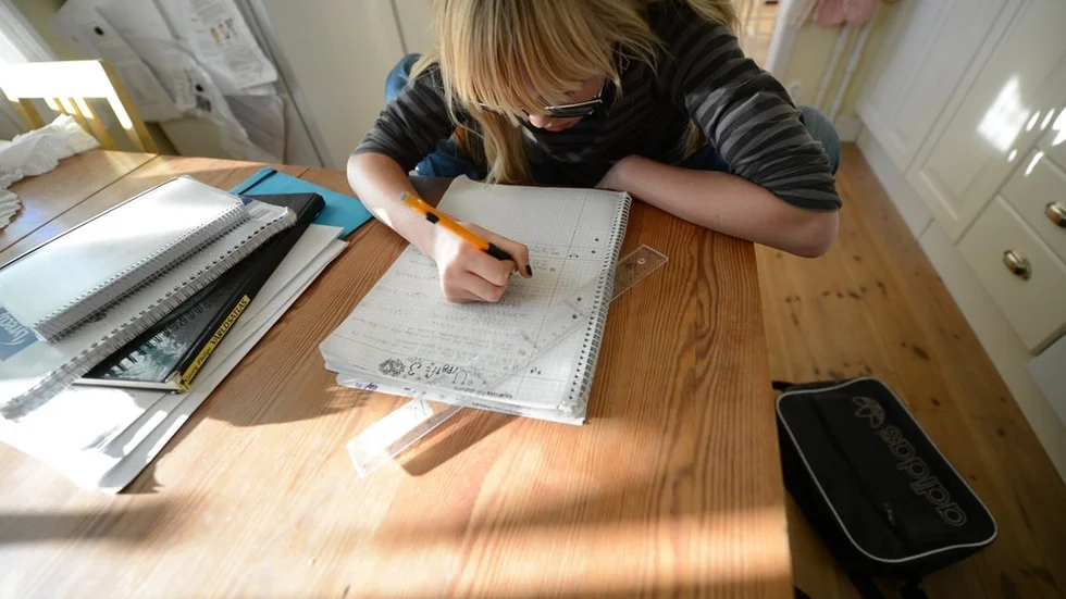 Läxhjälp ska vara en självklarhet på alla skolor och tillgången till studie- och yrkesvägledare ska vara likvärdig, skriver Vänsterpartiet.
