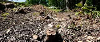 Camping kan polisanmälas – röjde skyddad naturmark: "Blev fint trots att det blev fel"