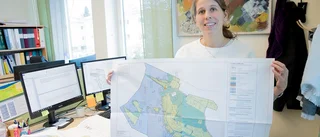 Nu visas Ålsätters förslag till detaljplan