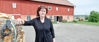 Veteranen som vägrar trappa ner: "Alla borde känna en politiker"