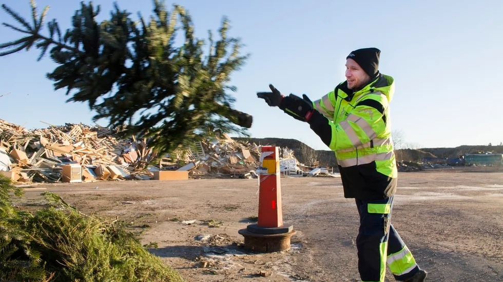 Anders Lindberg, affärsenhetschef på Vika avfallsanläggning, uppmanar alla att slänga sina avlagda julgranar på Vikatippens trädhög, inte i naturen, vilket är olagligt. Där mals den sedan ner och eldas som fjärrvärme.