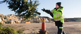 Julgranen ska till tippen – dumpning förbjuden