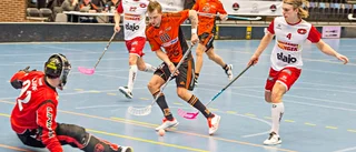 Lindman i ovan roll vill se Onyx studsa tillbaka