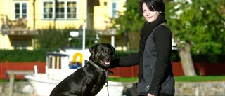 Hundexpertens bästa tips – så tar du och din hund er igenom nyårsfirandet