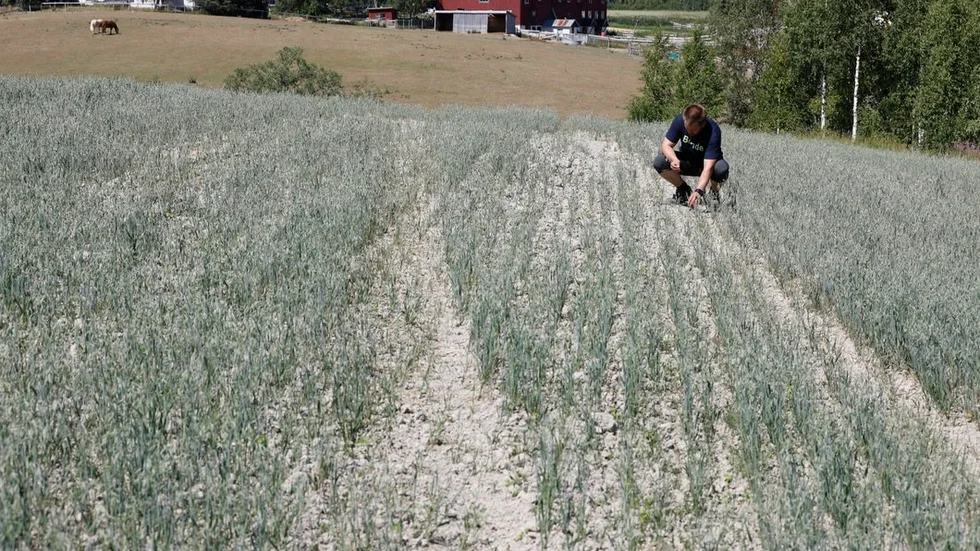 Klimatförändringarna kommer att drabba miljontals människor som slutligen kommer bli tvungna att lämna sin hem. Vi måste ta klimatvarningarna på allvar.