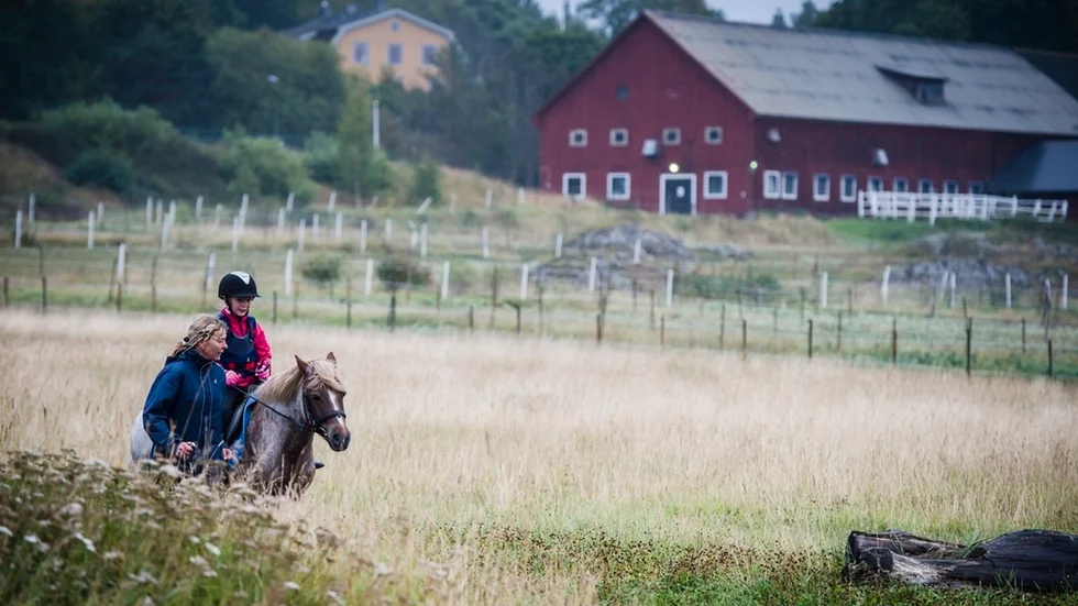 NRS, som tidigare hade sitt säte på Bullersta,  har fått nytt liv. Nu finns en styrelse och nästan 800 000 kronor i kassan. – Vi hoppas få igång en verksamhet igen, säger vice ordföranden Henrik Enoksson.