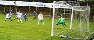 Krysset som lika gärna