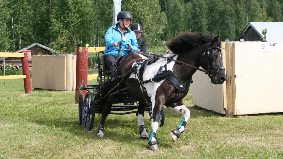 Christina Hällgren, tävlandes för Norsjö RK, med hästen Hot Shot.