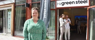 Vad får vi ut av den gröna omställningen?