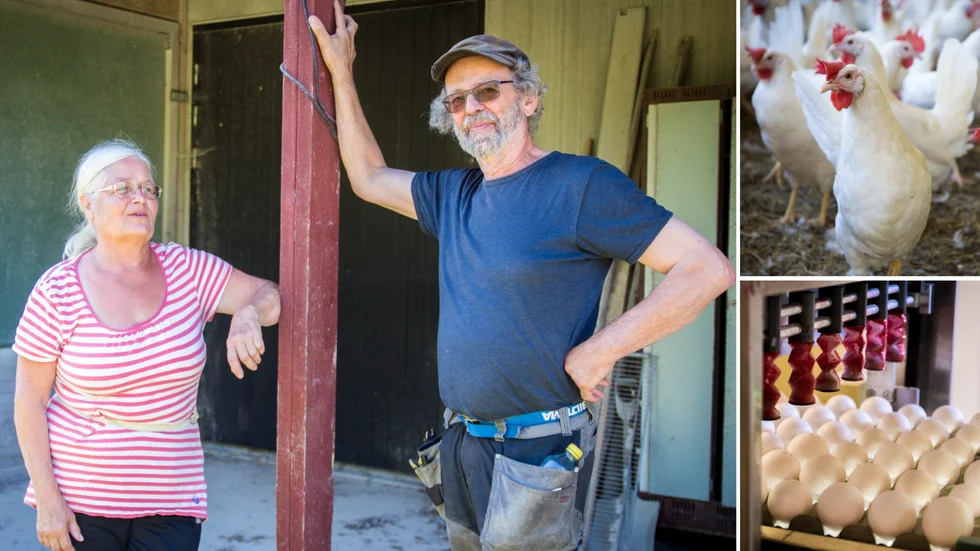 Ulla och Lasse Born på Båsbo ägg i Julita tvingades ställa om sin äggproduktion från Kravmärkta till konventionella ägg på grund av de höga spannmålspriserna. Nu har de begärt företaget i konkurs. 