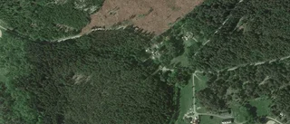 84-åring ny ägare till 80-talshus i Sköldinge - prislappen: 1 550 000 kronor