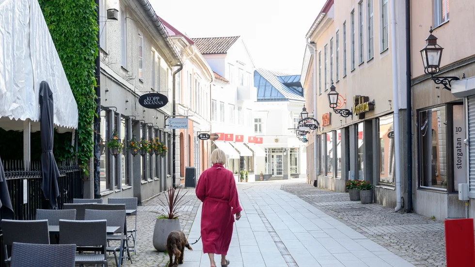 Allt är centralt i Vadstena enligt debattören.