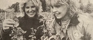 Ur PT:s arkiv: Då var det juli 1982