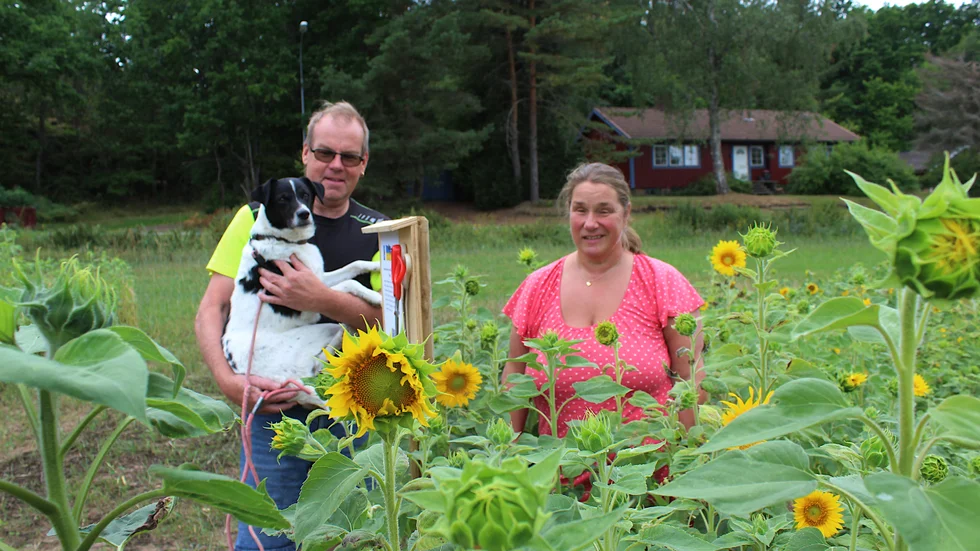 Anders Johansson i Gladhammar med hunden Mio och sambon Annika Henriksson.