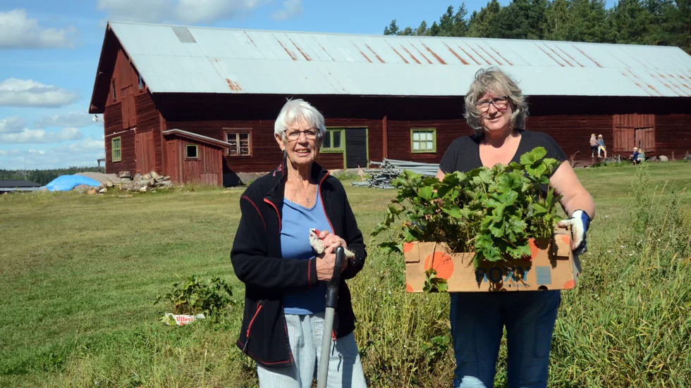 May-Britt Karlsson och dottern Catharina Larsson tog med sig jordgubbsplantor hem under lördagen.