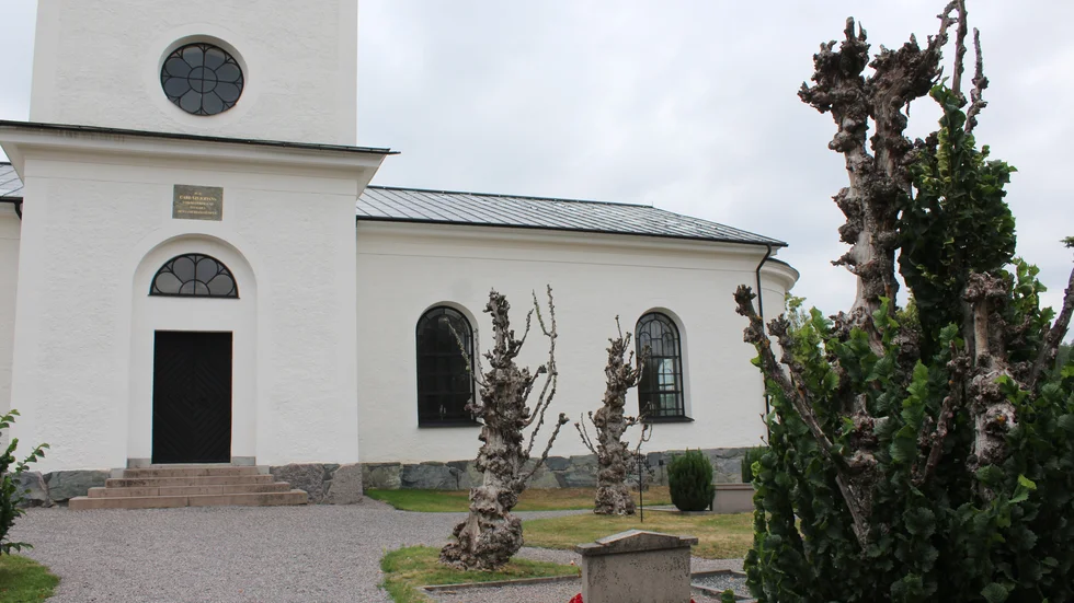 Almarna runt Ukna kyrka mår inte bra.