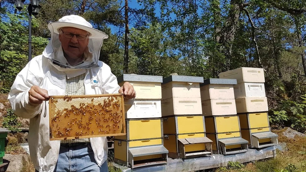Östra Sörmlands biodlarförenings ordförande Åke Wallman.