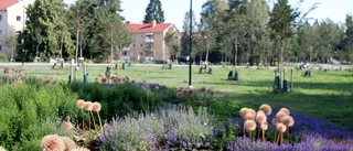 Ny entré till Katrineholm klar