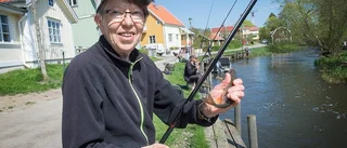 Solen sken över strömmingskalaset i Trosa