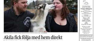 Chila fick ett hem där alla gillar drag