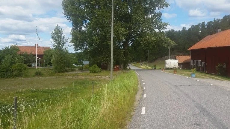 På denna sträcka blev myskankan Skramla mosad. Nu ska Joel Wennerholm bygga ett nytt hönshus på gårdssidan för att undvika att ankorna rör sig över vägen.