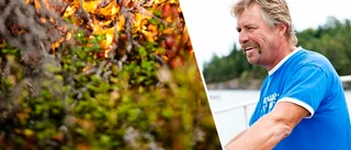Brand på populära skärgårdsön Beten hade kunnat sluta i katastrof