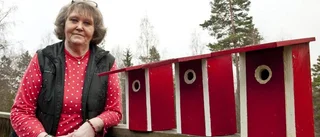 Unga gamla får inte hjälp av kommunens fixartjänst
