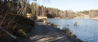 Nya turer kring Gillbergsvik