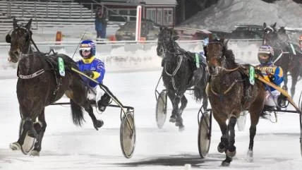 SPURTADE. Krister Söderholm styrde Zita Hornline till seger i V5-1 efter en upploppsstrid.