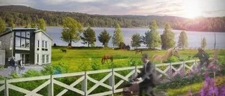 Förordar ett nationellt hästcentrum