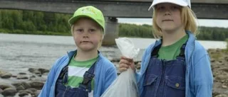 Med mersmak för Männikkö