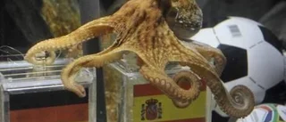 Därför vinner Spanien