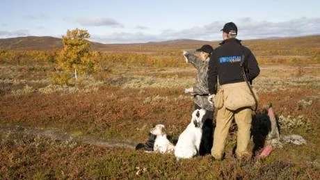 ÖPPNA GRÄNSER. För många jägare i Norrbotten har fjälljaktsreglerna en stor betydelse för vardagsjakten. Dessa jägare har all anledning att ställa krav på sina riksdagskandidater, för svenska politiker har friare händer vad gäller fjälljakten än de vill medge.