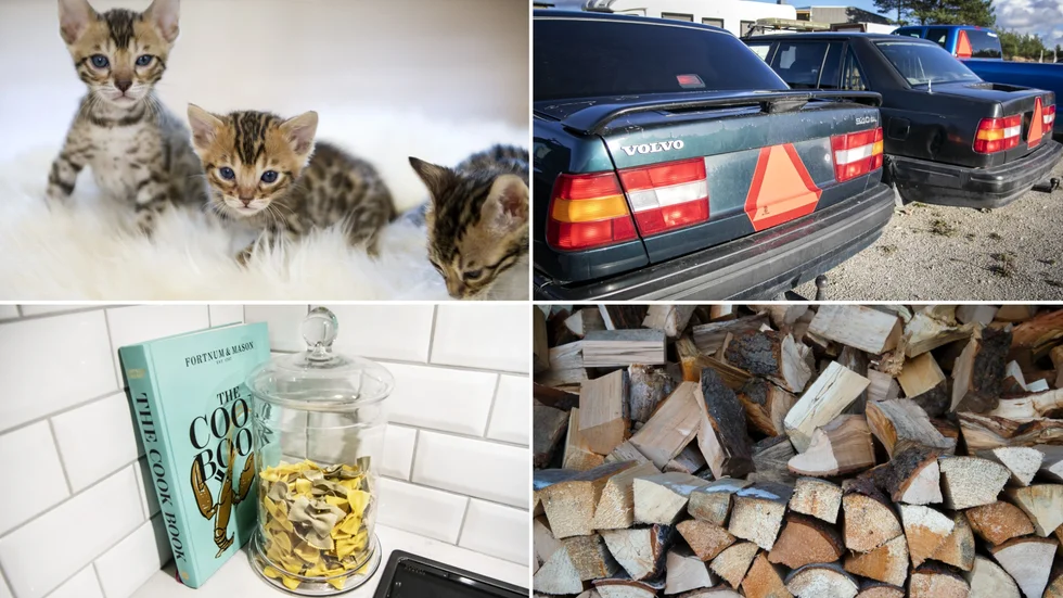 Kattungar, A-traktorer, "kök" och ved, hör till det som katrineholmarna letar mest efter på Blocket just nu. 
