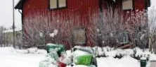 Flyktingfastigheten i Malmberget utrymd