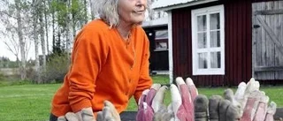 Ateljédörrarna öppnas igen