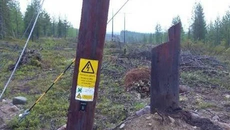 77 AVSÅGADE STOLPAR. Ett omfattande sabotag mot elkraftförsörjningen i Gällivare kommun har upptäckts av Vattenfall. 77 sådan här kraftledningsstolpar har kapats med motorsåg.