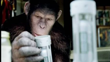 riktigt bra. Närmast Oscarsvarning utfärdar Rolf Nilsén för  Apornas planet (R)evolution.