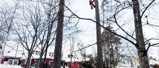 Monstertallen ett minne blott