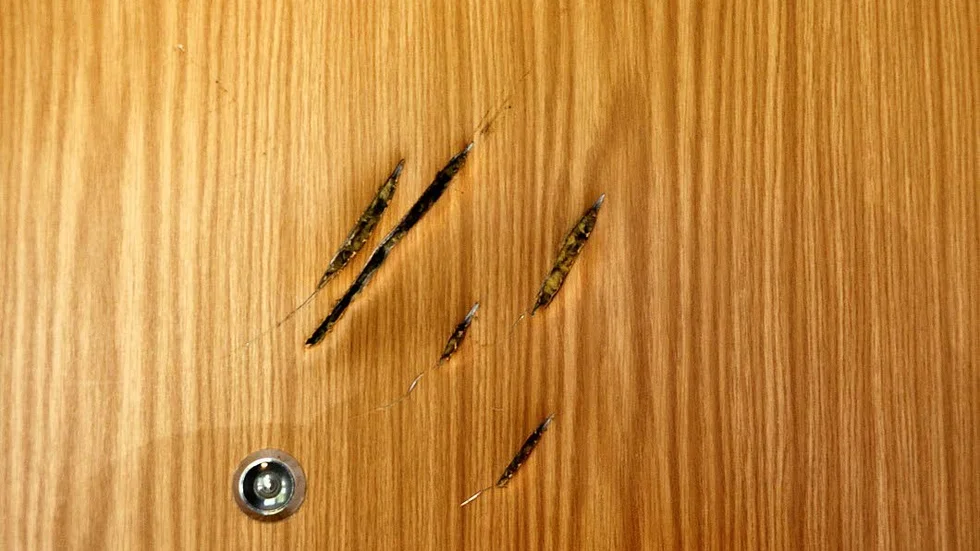 Skåror. Någon har tydligt huggit i dörren med ett tillhygge kring titthålet.