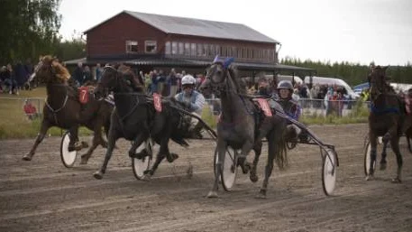 Ingela Nilsson hade segern som i en liten ask när familjehästen Xhantas Grey Lady (till höger) rumplade till mitt på upploppet och diskades.
