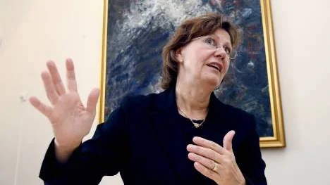 Företagarnas vd, Pitebon Anna-Stina Nordmark Nilsson, tycker att alliansen satsar för lite på småföretagen. "Jag har svårt att förstå logiken i regeringens budgetförslag", säger hon. (Arkivbild)
