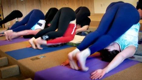 Hadasana betyder ungefär "benen över sig". Vighet är ett av yogans kännemärken.