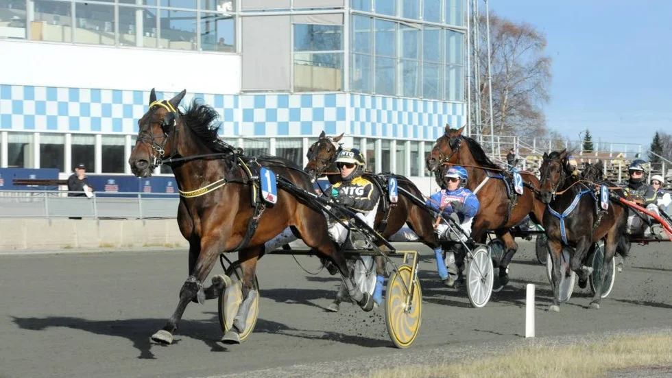 Rutger Gigant