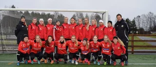 Målet – nå slutspel i Luleå