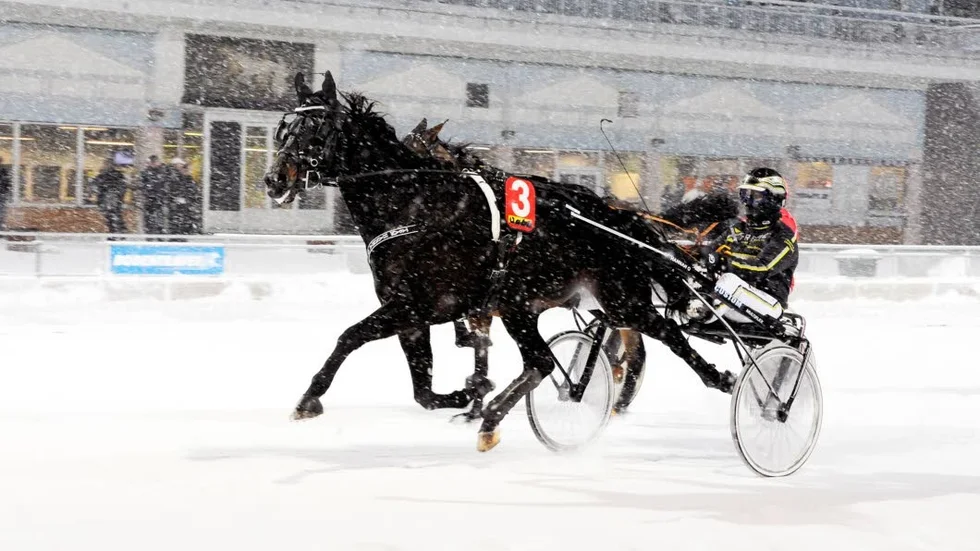 Favorit. Roger America höll för trycket, trots två mindre lyckade lopp i ryggen.