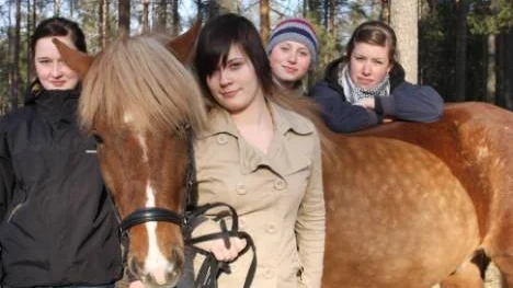 Ta ett beslut nu! Så är kravet till politikerna från Piteå Ridklubbs ungdomssektion. Frågan om ett nytt ridhus har pågått i flera år Cajsa Nordlund, Jenny Hortlund, Astrid Hedman och Moa Isaksson, i ungdomsektionen vill ha ett besked.