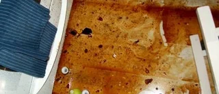Drogad 17-åring gick bärsärkagång