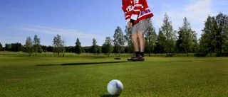 Med uppdrag att lyfta Piteå Hockey