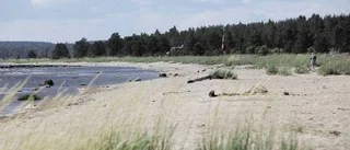 Gläntan blir naturreservat
